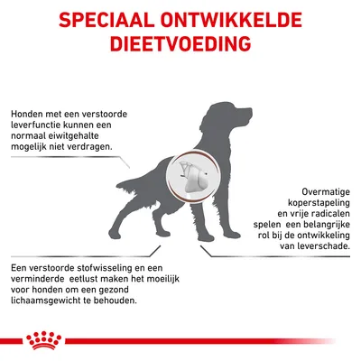 Speciaal ontwikkelde dieetvoeding. Honden met verstoorde leverfunctie kunnen eiwit niet verdragen. Overmatige koperstapeling en vrije radicalen veroorzaken leverschade. Moeilijk gezond gewicht te behouden.