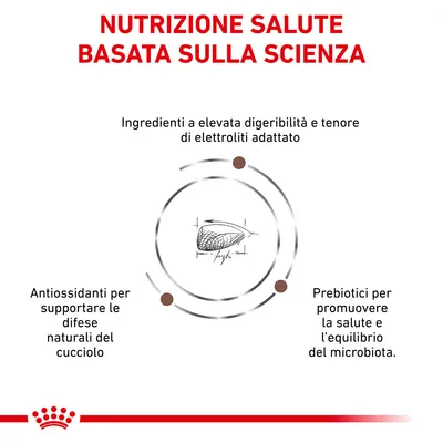 NUTRIZIONE SALUTE BASATA SULLA SCIENZA. Ingredienti a elevata digeribilità e tenore di elettroliti adattato. Antiossidanti per supportare le difese naturali del cucciolo. Prebiotici per promuovere la salute e l’equilibrio del microbiota.