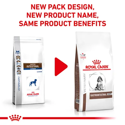 Image shows old and new packaging for a veterinary diet food, with text: New pack design, new product name, same product benefits. Old and new bags displayed side by side.