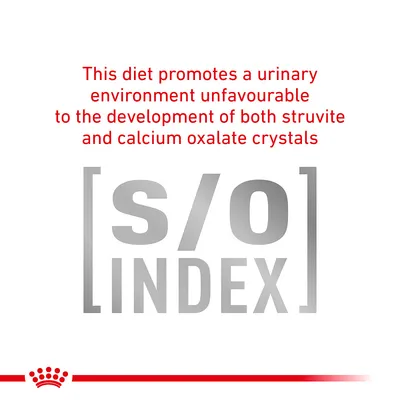 This diet promotes a urinary environment unfavourable to the development of both struvite and calcium oxalate crystals. [s/o] INDEX (κείμενο στα αγγλικά)