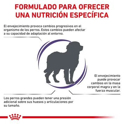 Formulado para ofrecer una nutrición específica. El envejecimiento provoca cambios en perros, afecta adaptación, masa corporal magra, fuerza muscular y presión en huesos y articulaciones.