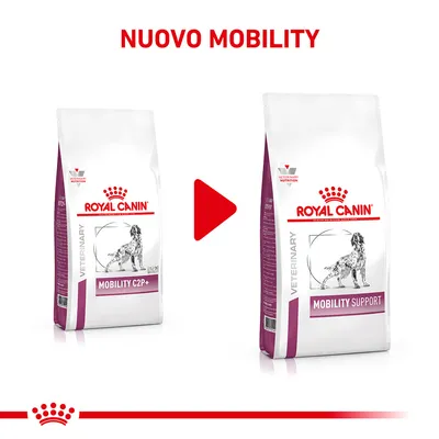 Cambio confezione Royal Canin Veterinary: da Mobility C2P+ a Mobility Support. Testo in alto: NUOVO MOBILITY. Entrambe le confezioni mostrano un cane e il marchio Royal Canin.