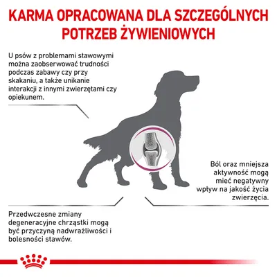 Karma opracowana dla szczególnych potrzeb żywieniowych. Informacje o problemach stawowych u psów, objawach bólu i zmianach chrząstki oraz wpływie na jakość życia zwierzęcia.