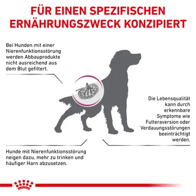 Grafik mit Hund und Text: Für einen spezifischen Ernährungszweck konzipiert. Infos zu Nierenfunktionsstörung bei Hunden, Symptomen wie Futteraversion, erhöhtem Trinken und häufigem Harnausscheiden.
