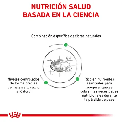 NUTRICIÓN SALUD BASADA EN LA CIENCIA. Combinación específica de fibras naturales, niveles controlados de magnesio, calcio y fósforo, rico en nutrientes esenciales para pérdida de peso.