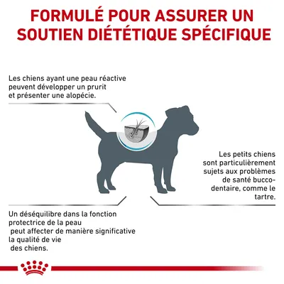 Formulé pour assurer un soutien diététique spécifique. Infos : peau réactive, prurit, alopécie, déséquilibre cutané, qualité de vie, petits chiens sujets aux problèmes bucco-dentaires.