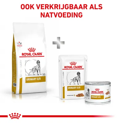 Royal Canin Urinary S/O droog- en natvoeding voor honden, verpakking met zak, pouch en blik. Tekst: 'Ook verkrijgbaar als natvoeding'.