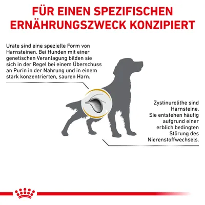 Für einen spezifischen Ernährungszweck konzipiert. Urate und Zystinolith-Harnsteine entstehen durch genetische Veranlagung, Purinüberschuss oder Nierenstoffwechselstörung bei Hunden.