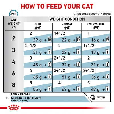 Feeding guide chart for cats showing daily dry and pouch food amounts by cat weight and condition: thin, normal, overweight. Includes mixing options and water reminder.