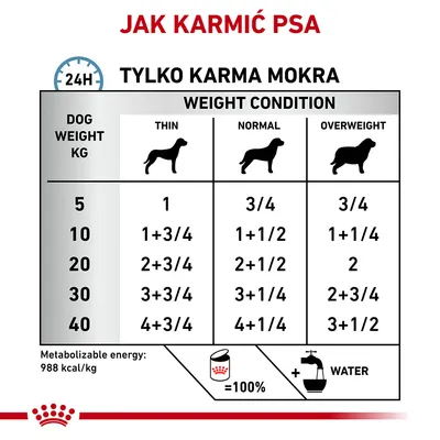 Tabela żywienia psa mokrą karmą: dawki dzienne wg masy ciała (5–40 kg) i kondycji (chudy, normalny, nadwaga). Energia metaboliczna: 988 kcal/kg. Zalecana woda do picia.