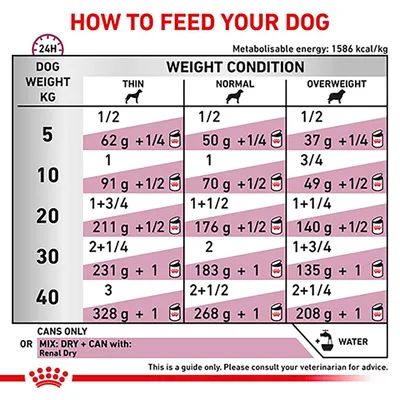 Feeding guide table showing daily food amounts by dog weight and condition: thin, normal, overweight. Includes grams and can portions for 5–40kg dogs. Water advice included.