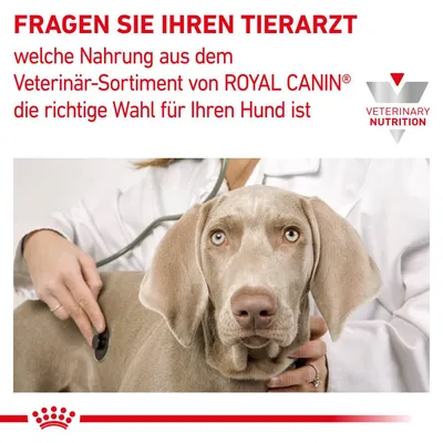 Fragen Sie Ihren Tierarzt, welche Nahrung aus dem Veterinär-Sortiment von Royal Canin die richtige Wahl für Ihren Hund ist. Logo: Veterinary Nutrition.