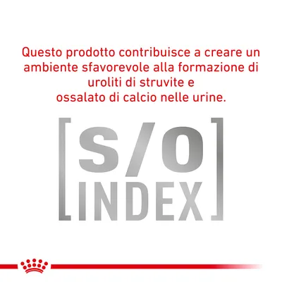 Questo prodotto contribuisce a creare un ambiente sfavorevole alla formazione di uroliti di struvite e ossalato di calcio nelle urine. [s/o] INDEX