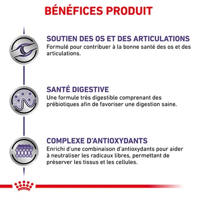BÉNÉFICES PRODUIT : soutien des os et des articulations, santé digestive, complexe d’antioxydants. Détails sur la formulation pour chaque bénéfice visibles dans l’image.