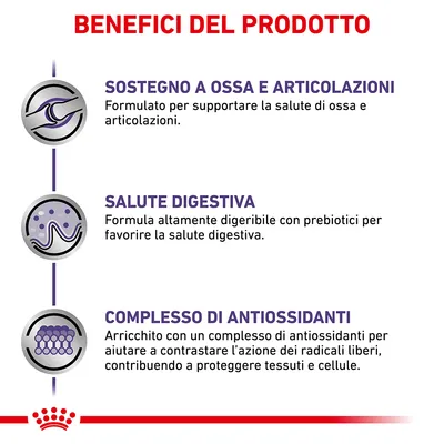 Benefici del prodotto: sostegno a ossa e articolazioni, salute digestiva con prebiotici, complesso di antiossidanti per proteggere tessuti e cellule. Testo in italiano.