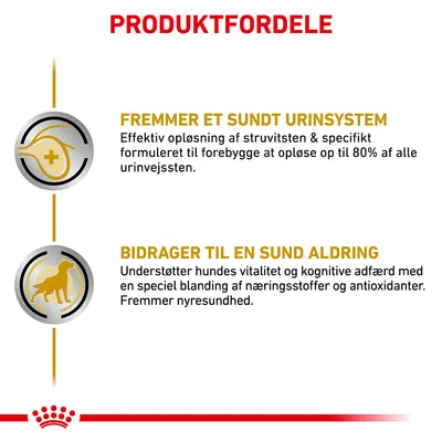 PRODUKTFORDELE: Fremmer et sundt urinsystem – opløser struvitsten, forebygger op til 80 % af urinvejssten. Bidrager til en sund aldring – understøtter vitalitet, kognition og nyresundhed.