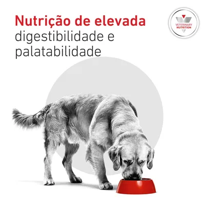Royal Canin Veterinary Canine Glycobalance Royal Canin Veterinary Canine Glycobalance