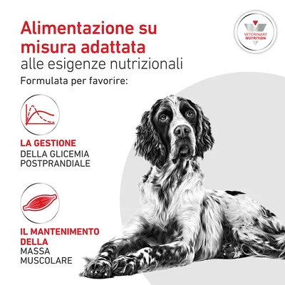Royal Canin Veterinary Canine Glycobalance Paté Royal Canin Veterinary Canine Glycobalance Paté
