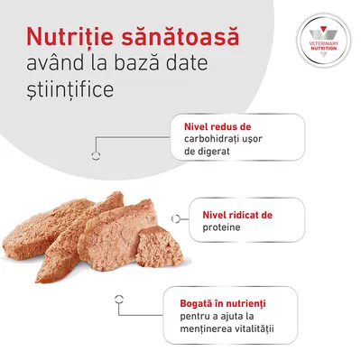 Royal Canin Veterinary Canine Glycobalance Mousse