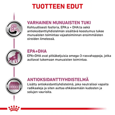 TUOTTEEN EDUT: VARHAINEN MUNUAISTEN TUKI, EPA+DHA, ANTIOKSIDANTTIYHDISTELMÄ. Tekstit kuvaavat fosforin, EPA:n, DHA:n ja antioksidanttien hyötyjä munuaisten toiminnalle.
