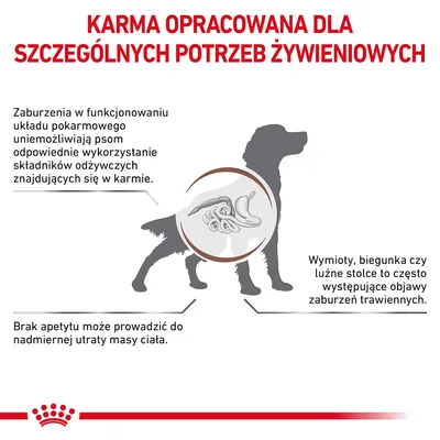 Karma opracowana dla szczególnych potrzeb żywieniowych. Informacje o zaburzeniach trawienia u psów: wymioty, biegunka, brak apetytu, utrata masy ciała, trudności z przyswajaniem składników.