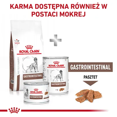 Karma Royal Canin Gastrointestinal w wersji suchej i mokrej, opakowania z widocznym napisem GASTROINTESTINAL oraz ilustracją psa. Tekst: Karma dostępna również w postaci mokrej.