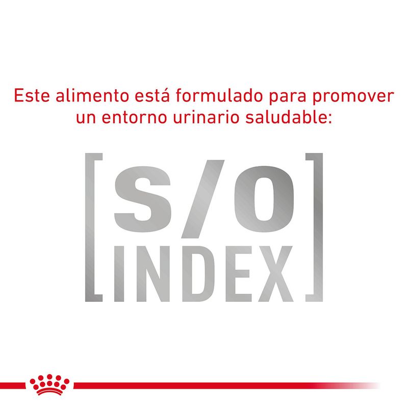Royal Canin Veterinary Feline Gastrointestinal Fiber Response en salsa
