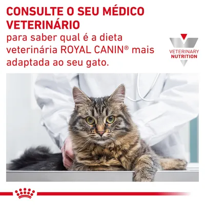 Consulte o seu médico veterinário para saber qual é a dieta veterinária ROYAL CANIN mais adaptada ao seu gato. VETERINARY NUTRITION.