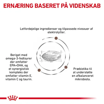ERNÆRING BASERET PÅ VIDENSKAB. Letfordøjelige ingredienser, tilpassede elektrolytter, omega-3-fedtsyrer EPA+DHA, vitamin E, C, taurin og præbiotika til afbalanceret mikrobiota.