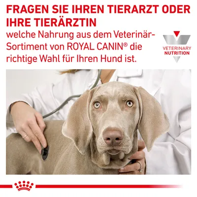 Fragen Sie Ihren Tierarzt oder Ihre Tierärztin, welche Nahrung aus dem Veterinär-Sortiment von Royal Canin die richtige Wahl für Ihren Hund ist.