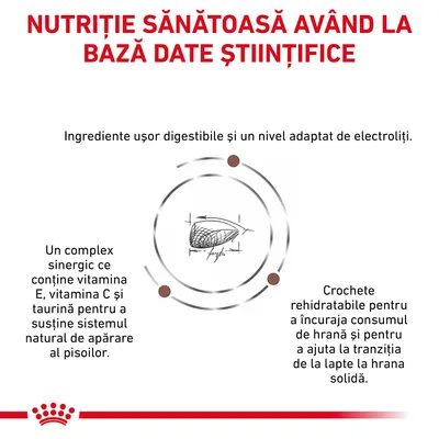 Nutriție sănătoasă având la bază date științifice. Ingrediente ușor digestibile, nivel adaptat de electroliți, complex cu vitamina E, C și taurină, crochete rehidratabile pentru tranziția la hrană solidă.