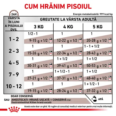 Tabel de hrănire pentru pisoi: cantități zilnice recomandate în funcție de vârstă (1–12 luni) și greutatea adultului (3, 4, 5 kg), cu opțiuni hrană uscată și conservă. Energie: 999 kcal/kg.