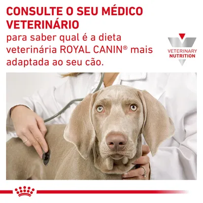 Consulte o seu médico veterinário para saber qual é a dieta veterinária ROYAL CANIN mais adaptada ao seu cão. VETERINARY NUTRITION.
