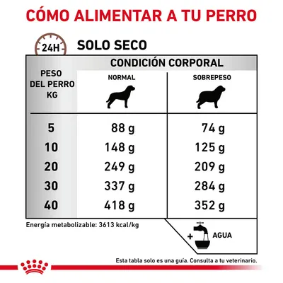 Tabla de raciones diarias de pienso seco para perros según peso (5–40 kg) y condición corporal (normal o sobrepeso). Incluye cantidades en gramos y recordatorio de agua. Energía: 3613 kcal/kg.