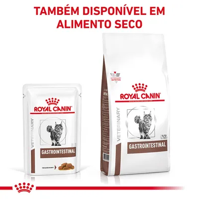 Royal Canin Gastrointestinal para gatos, embalagem húmida e seca. Texto visível: 'TAMBÉM DISPONÍVEL EM ALIMENTO SECO'. Imagem de gato nas embalagens.