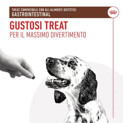 Testo visibile: Treat compatibile con gli alimenti dietetici gastrointestinal. Gustosi treat per il massimo divertimento. Mano offre uno snack a un cane maculato.