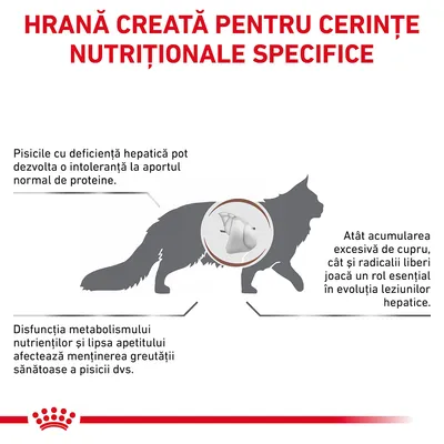 Hrană creată pentru cerințe nutriționale specifice. Pisicile cu deficiență hepatică pot dezvolta intoleranță la proteine. Disfuncția metabolismului afectează greutatea. Acumularea de cupru influențează leziunile hepatice.
