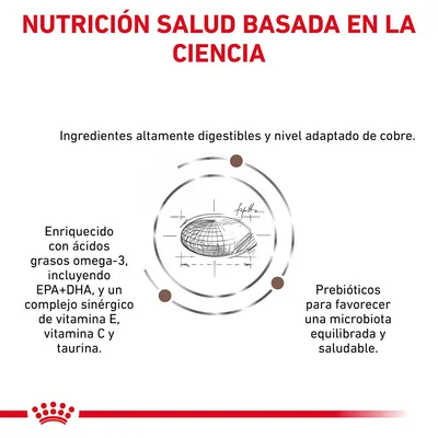 NUTRICIÓN SALUD BASADA EN LA CIENCIA. Ingredientes altamente digestibles y nivel adaptado de cobre. Enriquecido con omega-3 EPA+DHA, vitamina E, C, taurina. Prebióticos para microbiota equilibrada.
