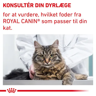 KONSULTÉR DIN DYRLÆGE for at vurdere, hvilket foder fra ROYAL CANIN som passer til din kat.