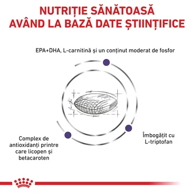 Nutriție sănătoasă având la bază date științifice. EPA+DHA, L-carnitină și conținut moderat de fosfor. Complex de antioxidanți cu licopen și betacaroten. Îmbogățit cu L-triptofan.