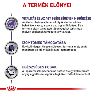 A TERMÉK ELŐNYEI: Vitalitás és az agy egészségének megőrzése, izomtömeg támogatása, egészséges fogak. Részletes leírás a képen olvasható.