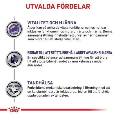 Utvalda fördelar: vitalitet och hjärna, stöd för bibehållen muskelmassa samt tandhälsa. Beskrivningar av näringsämnenas bidrag till dessa funktioner hos hundar.