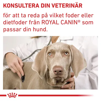 KONSULTERA DIN VETERINÄR för att ta reda på vilket foder eller dietfoder från ROYAL CANIN som passar din hund.