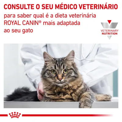 Consulte o seu médico veterinário para saber qual é a dieta veterinária ROYAL CANIN mais adaptada ao seu gato. VETERINARY NUTRITION.