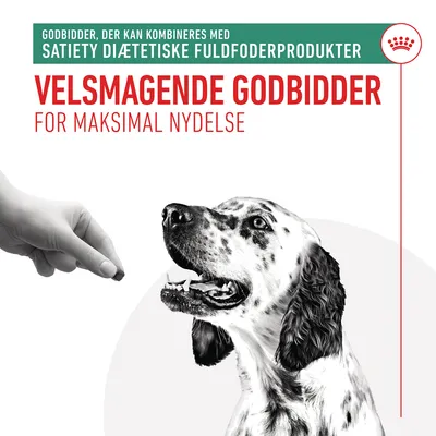 Godbidder, der kan kombineres med Satiety diætetiske fuldfoderprodukter. Velsmagende godbidder for maksimal nydelse. Hånd giver godbid til dalmatinerhund.
