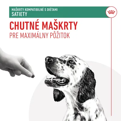 Maškrty kompatibilné s diétami Satiety. Chutné maškrty pre maximálny pôžitok. Ruka podáva pamlsek psovi, čiernobiela fotografia psa.