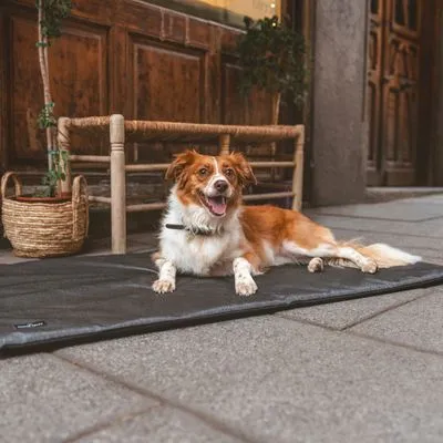 Nomad Tales Spirit Riverway Covoraș de exterior pentru câini