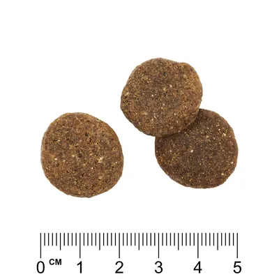 Drei braune, runde Leckerlis mit einer Grösse von etwa 4 cm, dargestellt neben einem Lineal zur Grössenangabe.