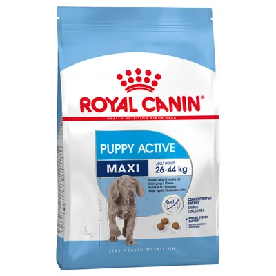 Royal Canin Puppy Active Maxi, aikuispaino 26–44 kg. Pussissa koiran kuva ja tekstit: concentrated energy, immune system support, puppies up to 15 months old.