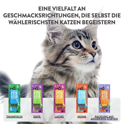Schesir Stix Katzensnacks in verschiedenen Geschmacksrichtungen: Thunfisch, Ente, Lachs, Huhn und Packung mit mehreren Sorten. Text: 'Eine Vielfalt an Geschmacksrichtungen für wählerische Katzen.'